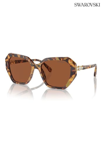 Swarovski Brown Sk6017 Irregular Sunglasses (B85881) | £151