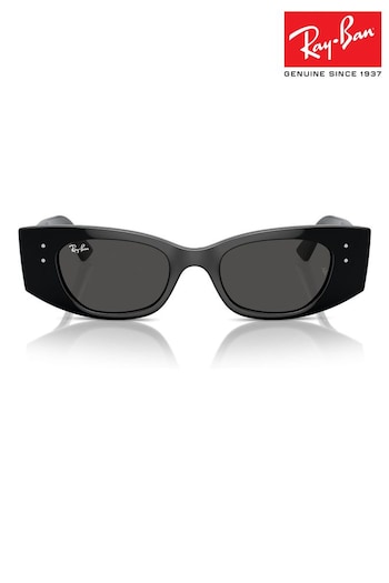 Ray-Ban Kat Rb4427 Irregular Black Sunglasses (B86645) | £130