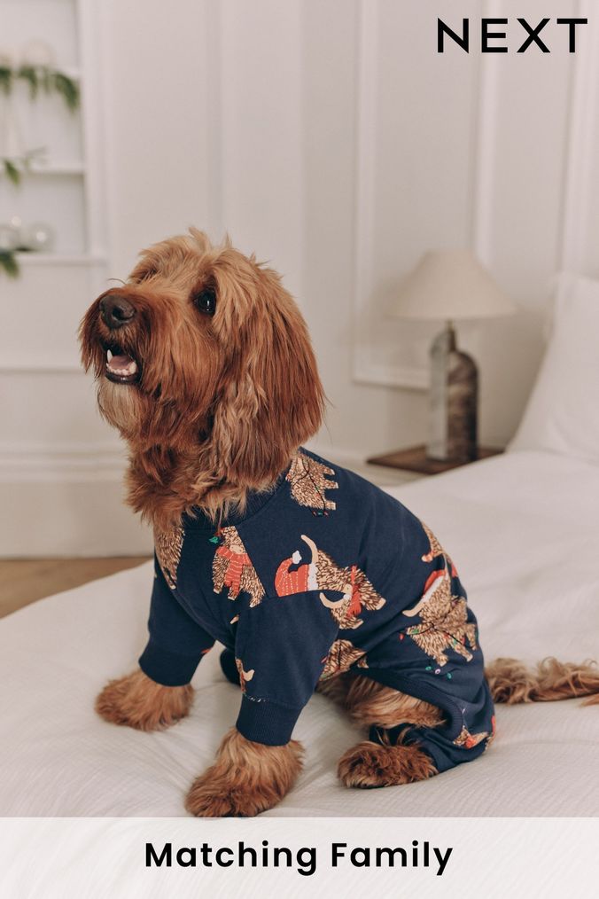 Next dog outfits online