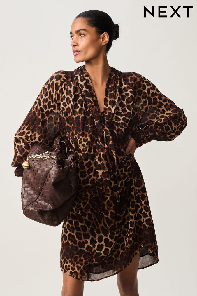 Next zebra print dress hotsell