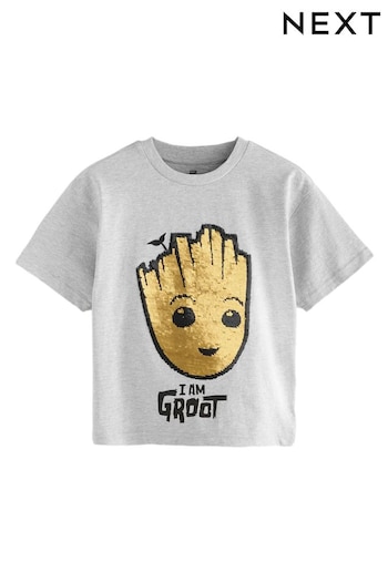 Grey Flip Sequin Licensed Groot T-Shirt (3-14yrs) (B89854) | £13 - £16