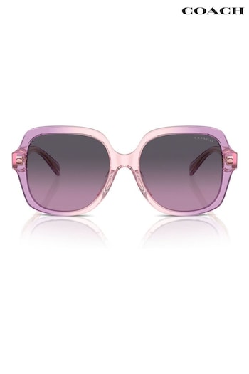 COACH pink Purple Hc8395U Square Sunglasses (B93740) | £139