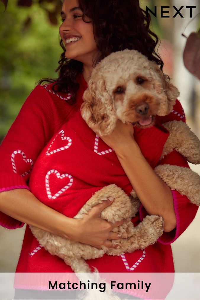 Pet Jumpers Dog Christmas Jumpers Next UK