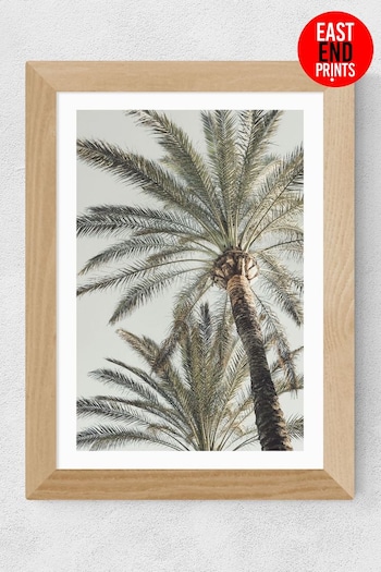 East End Prints Oak Palm Tree Framed Art Print (B95138) | £45 - £120