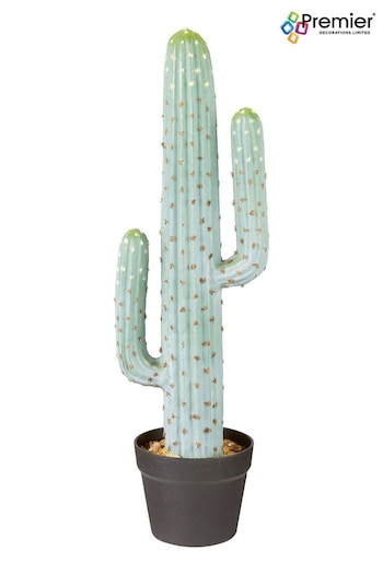 Premier Decorations Ltd Green 69cm Plastic Potted Saguaro Garden Cactus (B98267) | £42