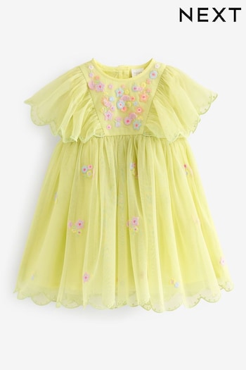 Green Embroidered Mesh Party Dress (3mths-7yrs) (B99337) | £21 - £25