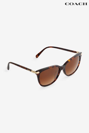 COACH HC8378U Brown Sunglasses (B99623) | £154