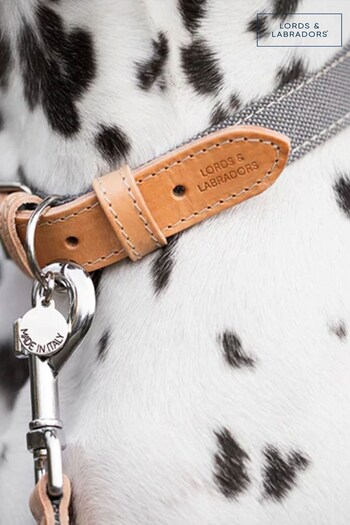 Lords and Labradors Slate Essentials Twill Dog Collar (B99845) | £19 - £25