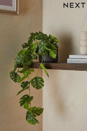 Green Artificial Trailing Monstera Plant (BEX470) | £25
