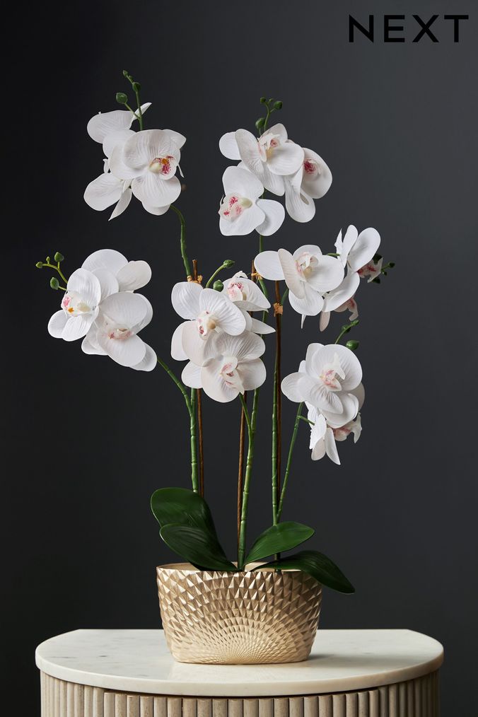 White deals plastic flowers