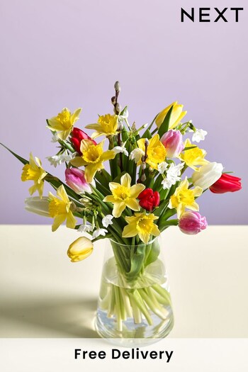 Multi Tulip and Daffodil Letterbox Fresh Flower Bouquet (C01289) | £23