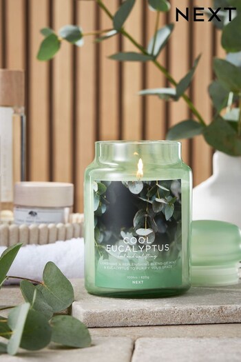 Green Cool Eucalyptus Large Jar Candle (C05194) | £15