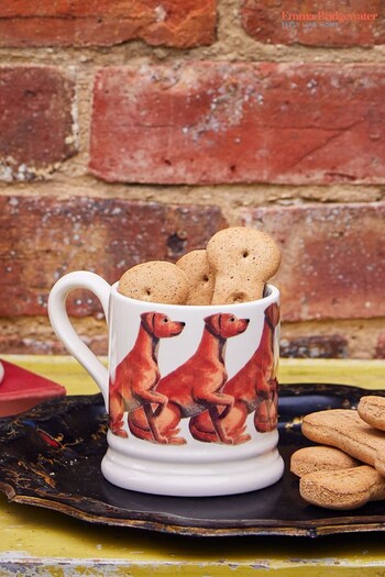 Emma Bridgewater Cream Dogs Fox Red Labrador 1/2 Pint Mug (C05436) | £23