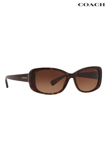 Coach plan Brown L156 Oval Sunglasses (C08712) | £139