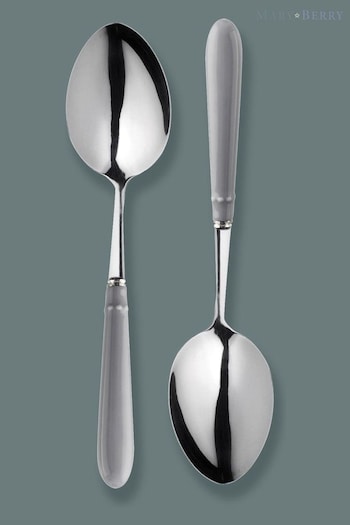 Mary Berry Set of 4 Grey Signature Serving Spoons (C08873) | £34