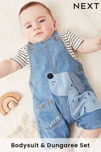 Blue 2 Piece Baby Denim Dungarees And Bodysuit Set (0mths-2yrs) (C11600) | £19 - £21