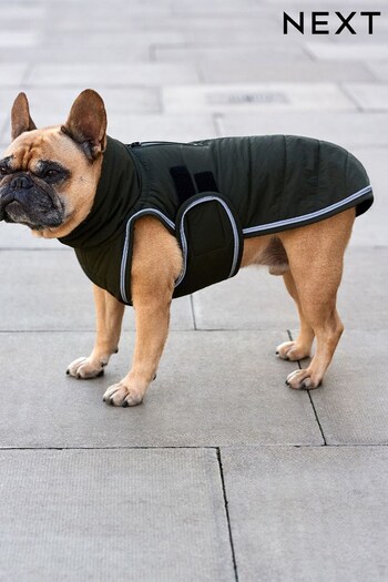 Khaki Green Showerproof Quilted Dog Coat with Reflective Trim (C15915) | £20 - £24