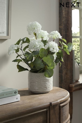 White Artificial Vibernum Plant In Country Pot (C21329) | £38