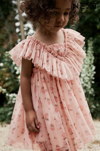 Pink Ditsy Ruffle Mesh Dress (3mths-10yrs) (C27774) | £15 - £21