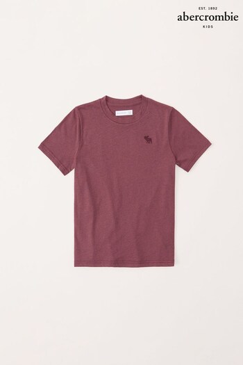 Abercrombie & Fitch Essential Short Sleeve T-Shirt (C29096) | £13