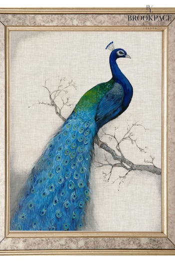 Brookpace Lascelles Gold Peacock 1 Print in Antique Mirrored Frame (C30181) | £115