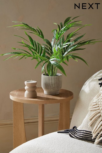Green Artificial Mini Kentia Palm Plant In Ribbed Concrete Pot (C31139) | £24