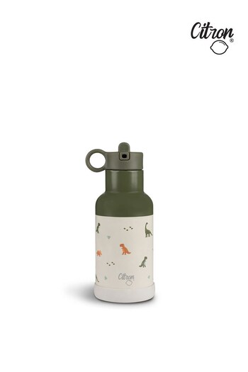 Citron Insulated Stainless Steel Water Bottle 350ml Dino (C31603) | £19