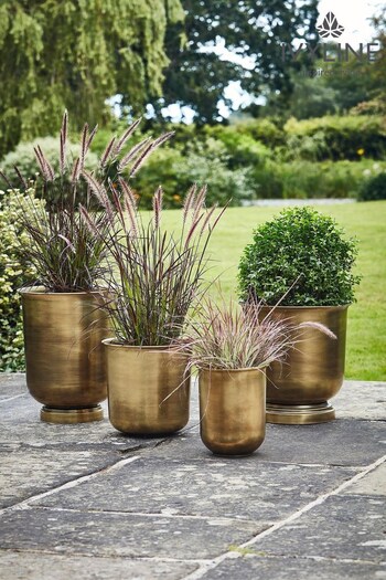 Ivyline Brass Outdoor Hampton Metal Urn (C37265) | £80