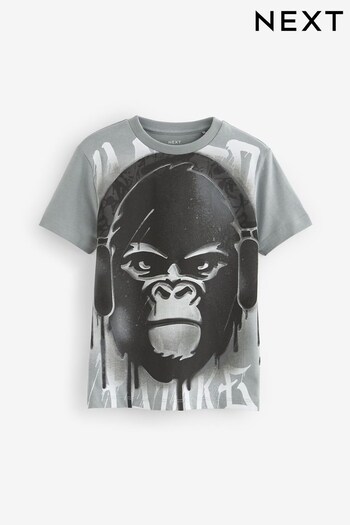 Grey Spray Paint Gorilla Graphic Short Sleeve T-Shirt (3-16yrs) (C41835) | £8 - £13