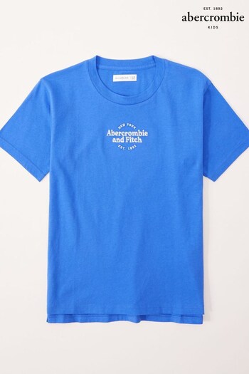 Abercrombie & Fitch Logo Oversized T-Shirt (C48012) | £17