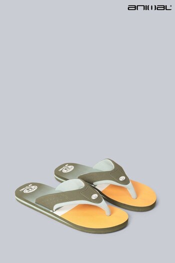 Animal Mens Jekyl Yellow Flip Flops (C48892) | £22