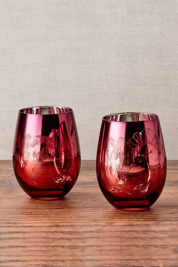 The DRH Collection Clear Clear Set of 2 Bloom DOF Tumblers (C54822) | £23