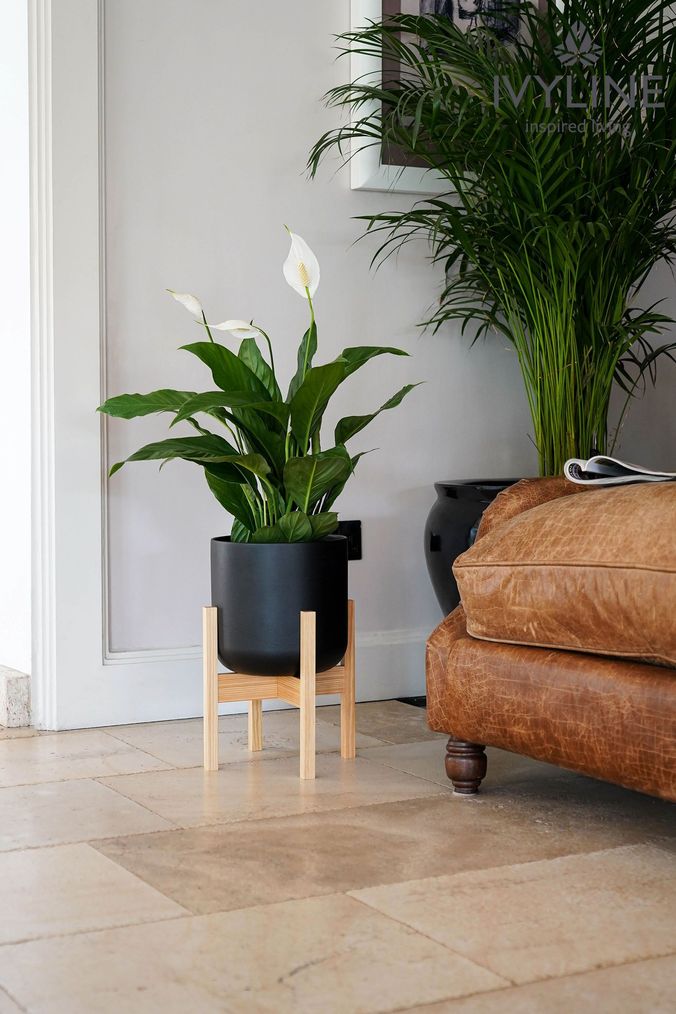 Next cheap plant stand