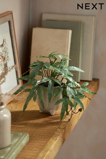 Green Fern Artificial Plant In Footed Ceramic Pot (C61589) | £16