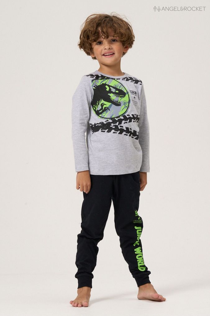 Buy Boys Pyjamas Jurassic World Childrenswear Nightwear Online