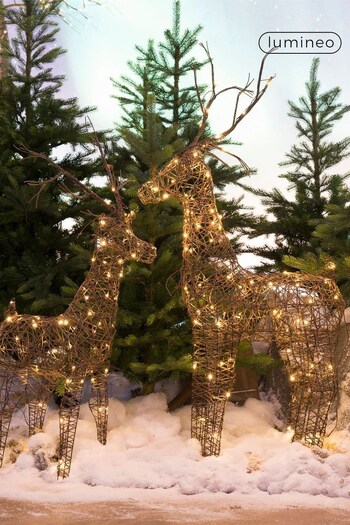 Lumineo Brown Pre-Lit LED Outdoor Christmas Wicker Small Deer (C65094) | £38