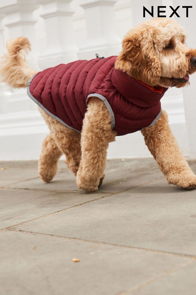 Christmas dog 2024 coats uk