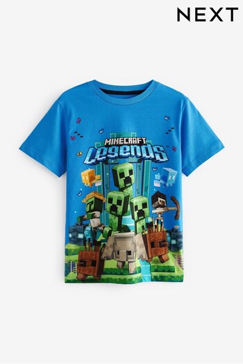 Blue Minecraft Gaming License T-Shirt (4-16yrs) (C66145) | £14 - £19