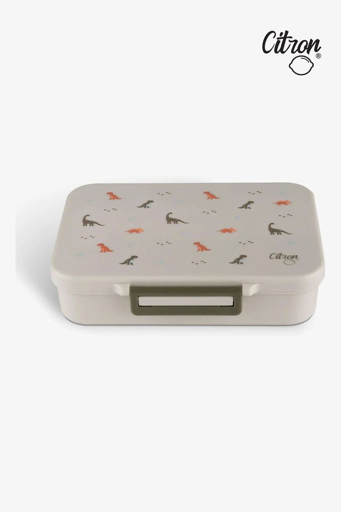 Older boys lunch box shop