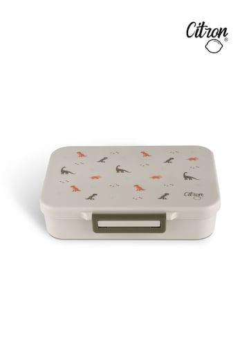 Citron Lunch Box with Mix-Free Compartements and Saucer (C72449) | £30