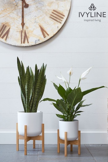 Ivyline White Garden Lisbon Pot And Stand (C73249) | £40 - £50