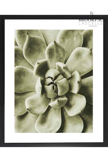 Brookpace Lascelles Black Agave Leaves Photographic Picture in Satin Frame (C73924) | £108
