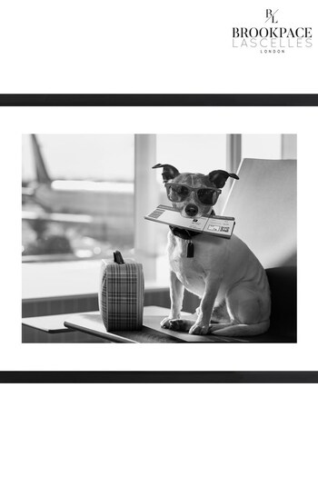 Brookpace Lascelles Black 'Terrier Travel' Photographic Print in Glass Frame (C76608) | £108