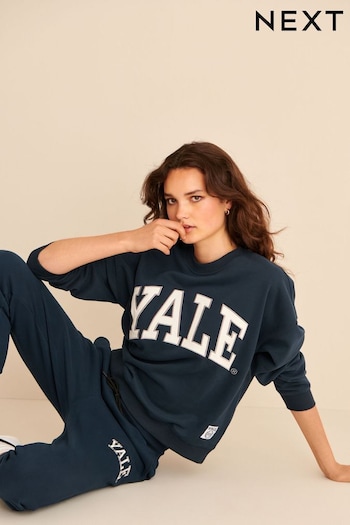 Navy Blue Yale Sweatshirt (C79120) | £32