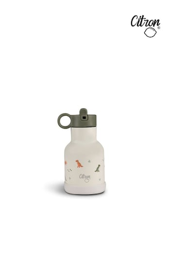 Citron Insulated Stainless Steel Water Bottle 250ml for Kids Dino (C81322) | £17