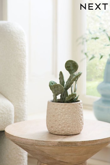 Green Artificial Cactus In Natural Pot (C86871) | £14