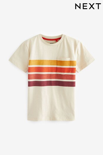 Neutral Stripe Pocket Colourblock Short Sleeve T-Shirt (3-16yrs) (C87112) | £7 - £12
