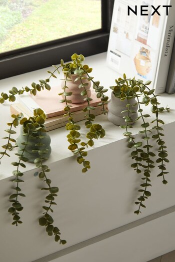 Set of 3 Green Artificial Trailing Plants With Ceramic Pots (C87606) | £21