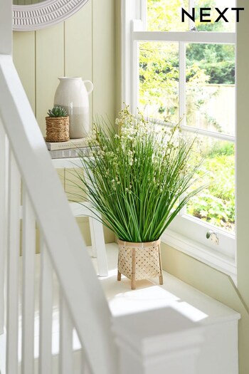 Green Artificial Grass Plant In Bamboo Planter (C89008) | £65
