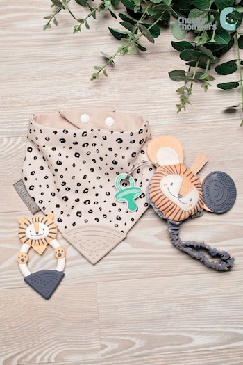 Cheeky Chompers Teething Baby Gift Bundle (C90849) | £34